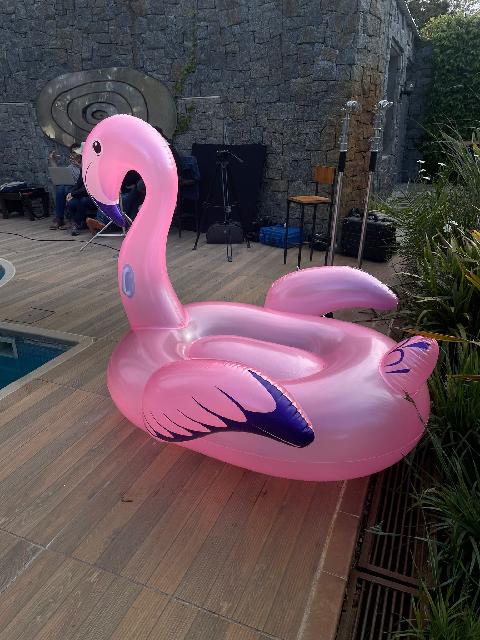 INFLABLE CISNE XL – Atico rental