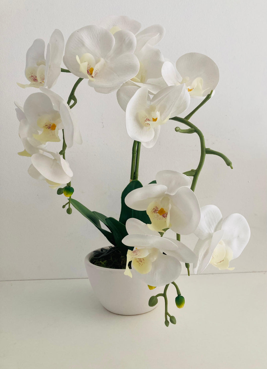ORQUIDEA BLANCA II