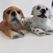 Cargar imagen en el visor de la galería, PERRO CROMO
