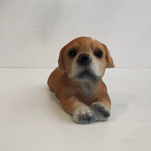 Cargar imagen en el visor de la galería, PERRO CHUCHO
