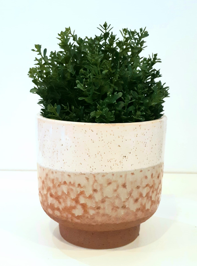 MACETA BICOLOR